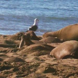 Meet your Posher, Jac